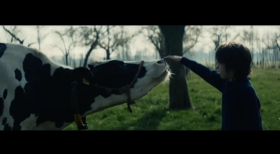 Friesland Campina "My Son"